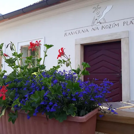 Apartment Cafe Kozi Placek