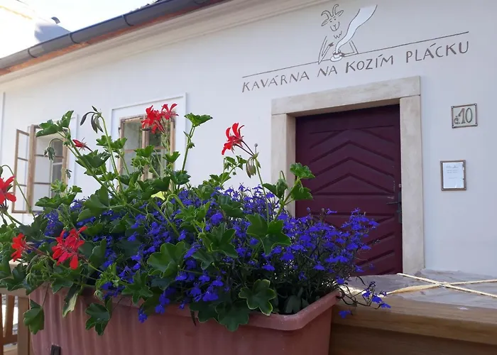 Διαμέρισμα Cafe Kozi Placek